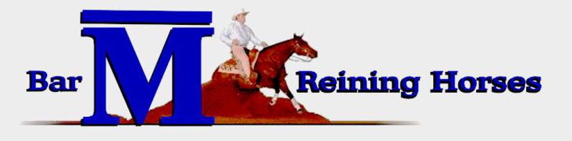 Bar M Reining Horses